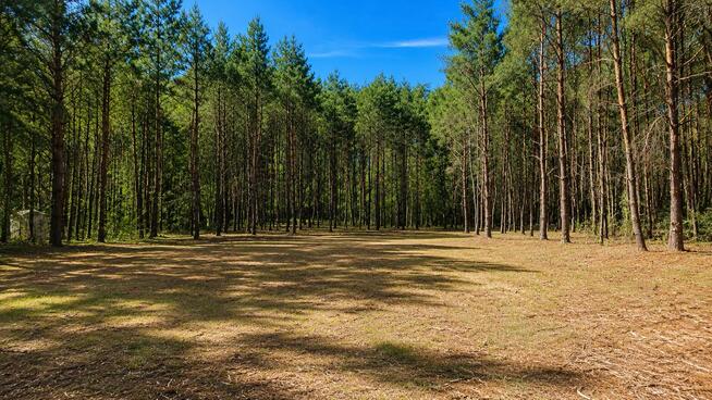 Działka budowlana 2559 m² w Karczewku, gmina Kiszkowo | WZ |