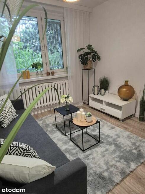 Komfortowe 3 pokoje z balkonem po remoncie