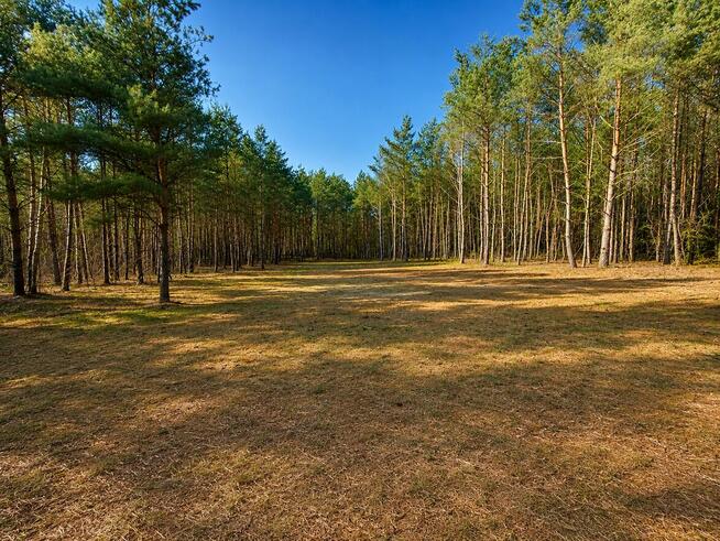 Działka budowlana 2559 m² w Karczewku, gmina Kiszkowo | WZ |