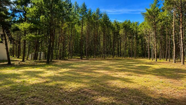 Działka budowlana 2559 m² w Karczewku, gmina Kiszkowo | WZ |