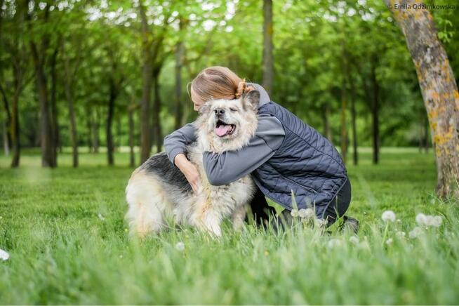 Ramona-starsza cudowna towarzyska suczka do adopcji
