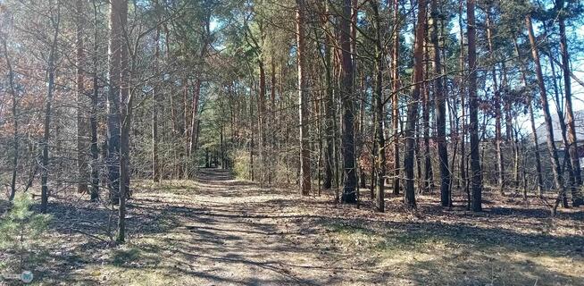Działka budowlana Morawica Morawica