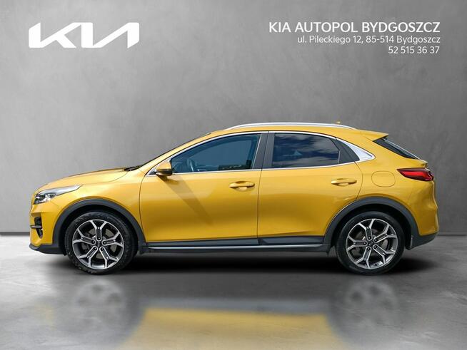 Kia XCeed 1.6 T-GDI 204KM L + AEB Salon PL 1wł Alufelgi 18