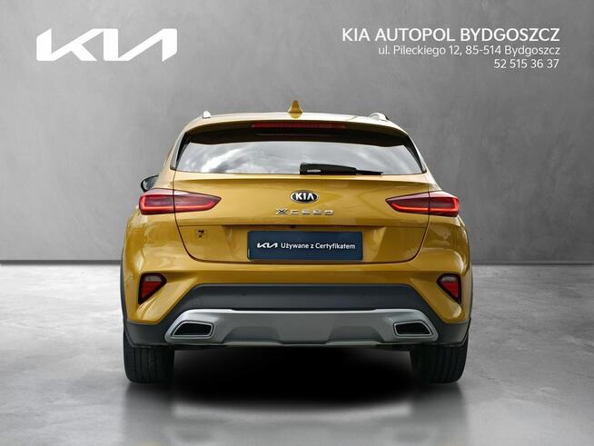 Kia XCeed 1.6 T-GDI 204KM L + AEB Salon PL 1wł Alufelgi 18