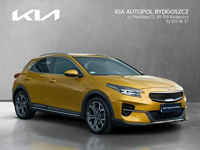 Kia XCeed 1.6 T-GDI 204KM L + AEB Salon PL 1wł Alufelgi 18