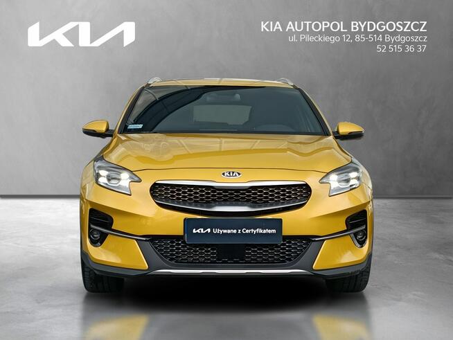 Kia XCeed 1.6 T-GDI 204KM L + AEB Salon PL 1wł Alufelgi 18