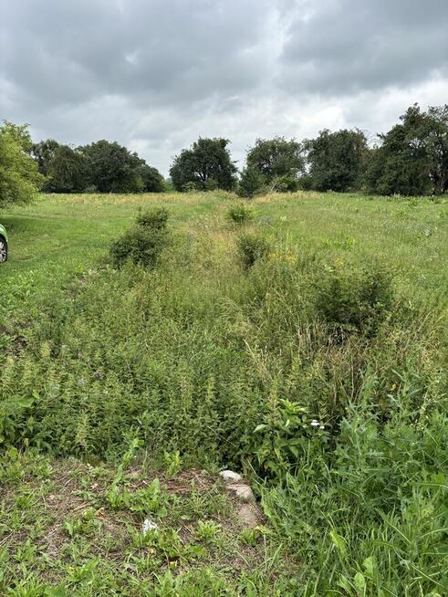Sprzedam siedlisko 1,2 ha w okolicach Płocka