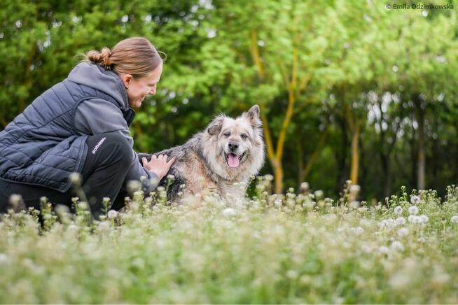 Ramona-starsza cudowna towarzyska suczka do adopcji