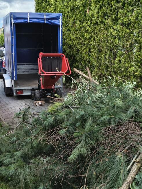 Przycinanie żywopłotów, sprzątanie działek