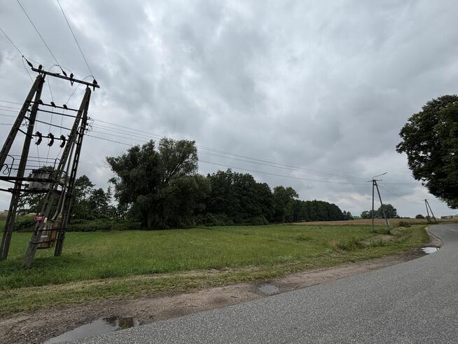Sprzedam siedlisko 1,2 ha w okolicach Płocka