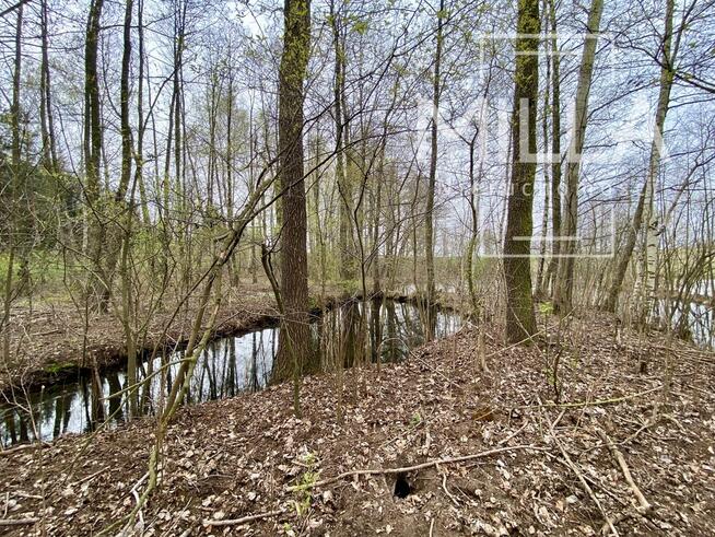 Dom 160 m² projekt Dogodny II działka 3254m2