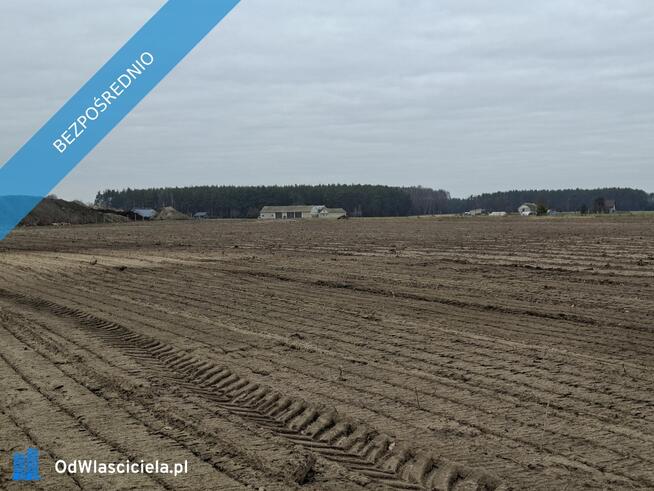 Syndyk sprzeda udział 3/8 w prawie własności nieruchomości gruntowej - Nuna, dz. ew. 301 - 50%