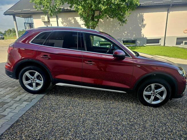 Audi Q5 2.0 tdi 204PS MATRIX 4x4 Panorama Ambient S-Line Europa Bezwypadkowy