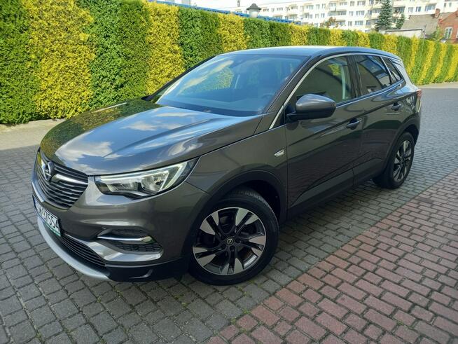 Opel Grandland X Benz Ledy ParkAssist Pół-Skóry Duża Navi Elektr.Klapa 100%Bezwypadkowy