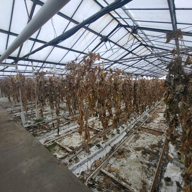 Nieruchomość rolna 39,83ha