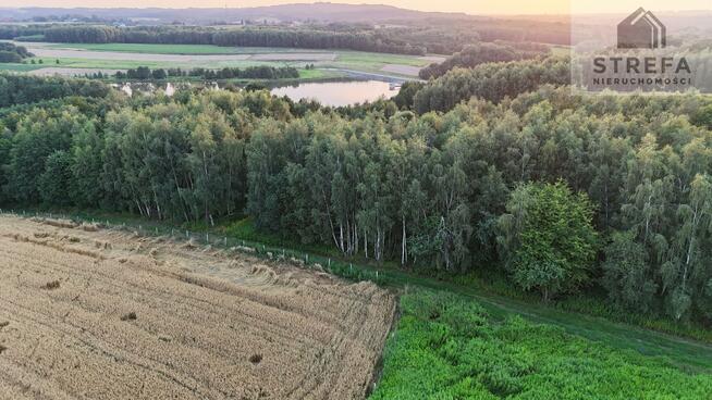Działka siedliskowa Skrzyszów
