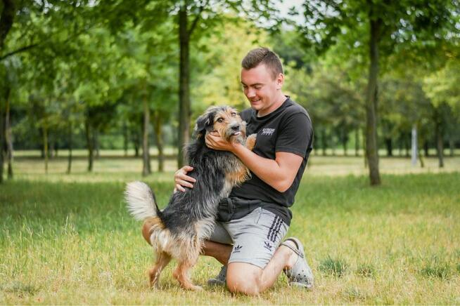 Toffik-kudłaty, mały, młody pies do adopcji