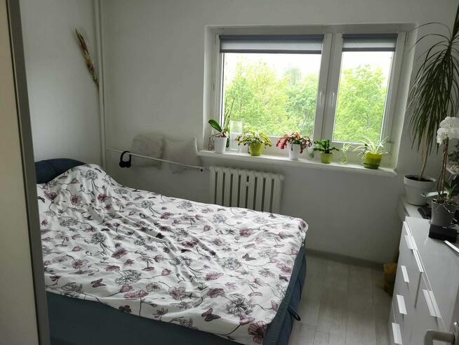Dwustronne 51,16 m² z balkonem i widokiem na zieleń – Łódź,