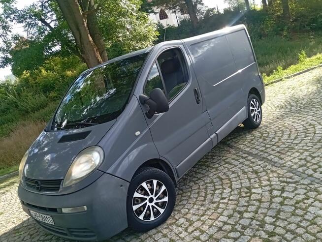 SPRAWNY/BUS/OPEL/VIVARO/1.9/CDTI/HAK/ZAREJESTR/