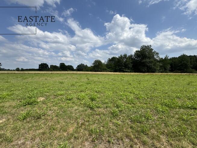 Działka budowlana | 4508 m² | Kazuń Polski