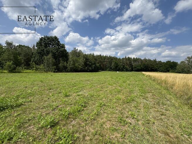 Działka budowlana | 4508 m² | Kazuń Polski