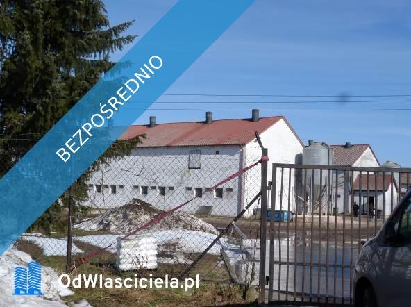 Syndyk sprzeda udział 3/8 w prawie własności nieruchomości gruntowej - Pielgrzymowo, dz. ew. 123/5, 