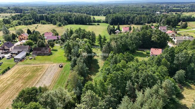 Działka budowlana Buczków gm. Rzezawa