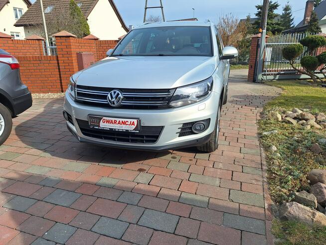 Volkswagen Tiguan Bezwypadkowy Serwisowany Kamera Navi Parkroniki CarPlay ParkAssist