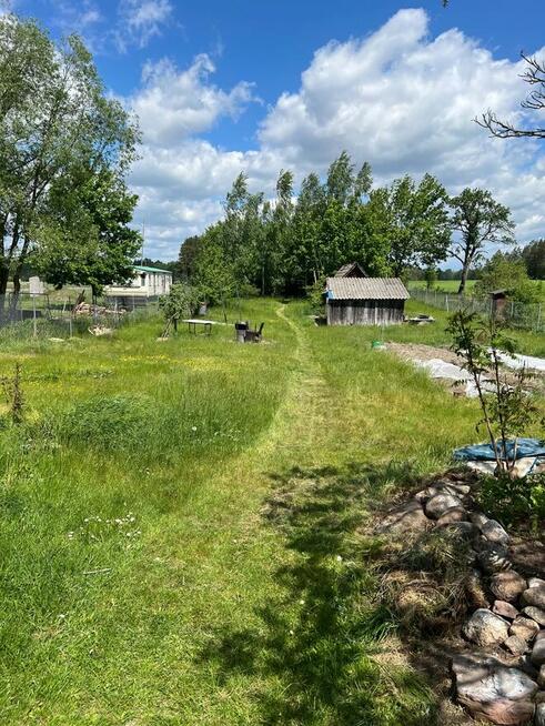 Pranie tapicerki, dywanów i kompleksowa pielęgnacja ogrodów