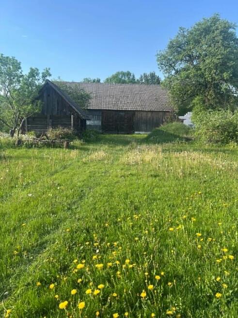Pranie tapicerki, dywanów i kompleksowa pielęgnacja ogrodów