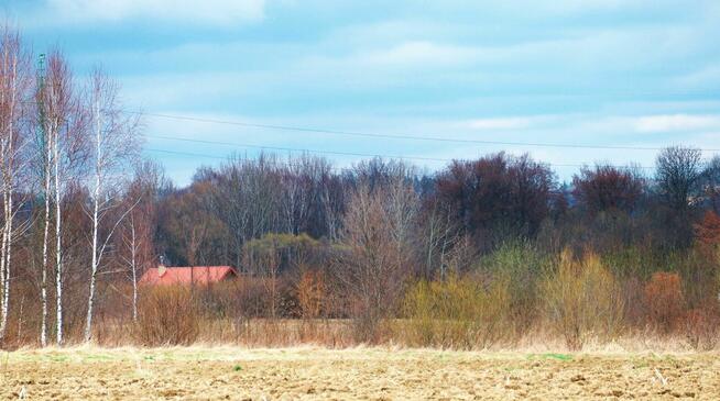Dom całoroczny Haczów Plantacja Wierzby Agro - wynajmę