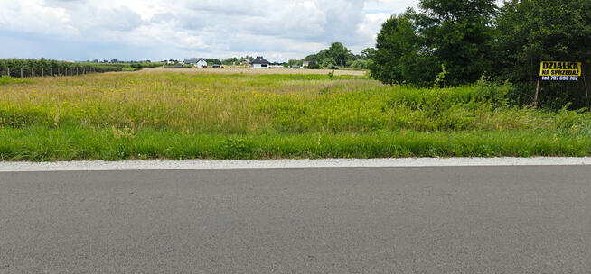 Bezpośrednio! Piękna działka 1250 m² z WZ – Chełmica Duża