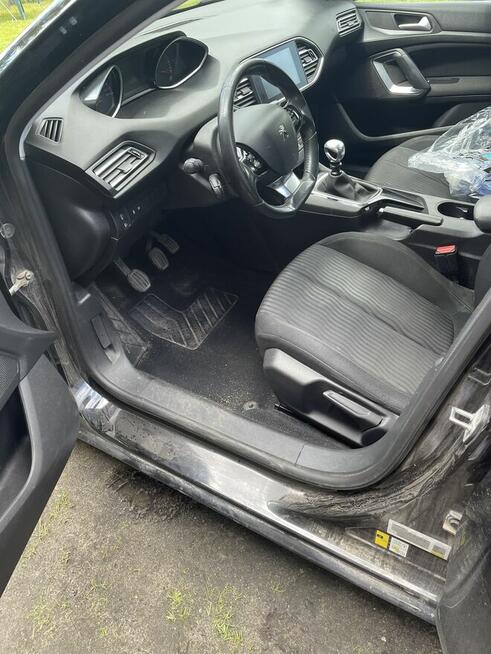 Pranie tapicerki, dywanów i kompleksowa pielęgnacja ogrodów