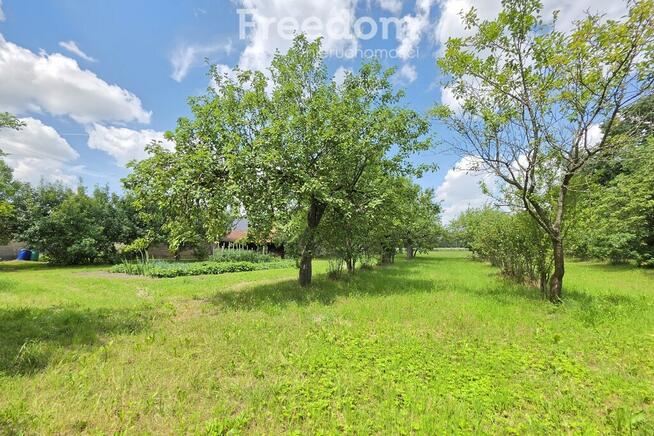 Klimatyczne siedlisko 6373 m² | 15 min od Białej