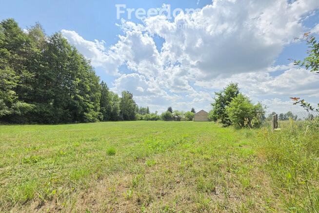 Klimatyczne siedlisko 6373 m² | 15 min od Białej