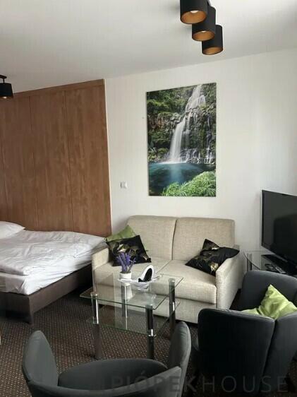 1-pokojowe mieszkanie na Wilanowie