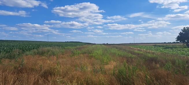 Miłków Kolonia. Piękna działka budowlana!