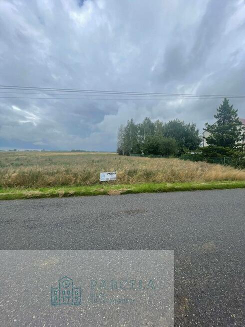 Działka rolna 4,51 ha | Wiewiórów | Klasa III i IV