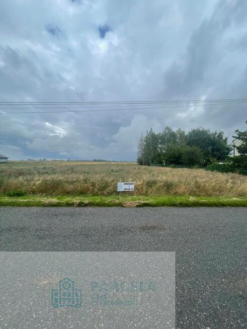 Działka rolna 4,51 ha | Wiewiórów | Klasa III i IV