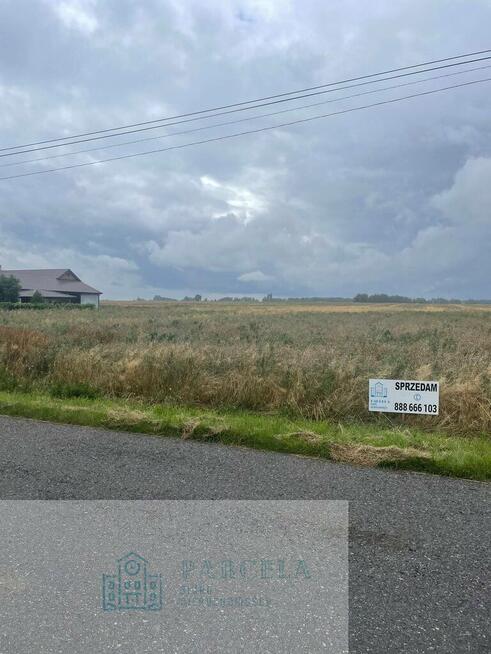Działka rolna 4,51 ha | Wiewiórów | Klasa III i IV