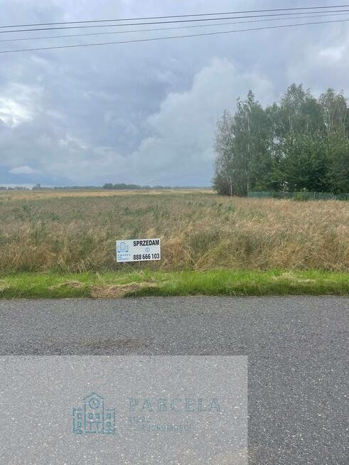 Działka rolna 4,51 ha | Wiewiórów | Klasa III i IV