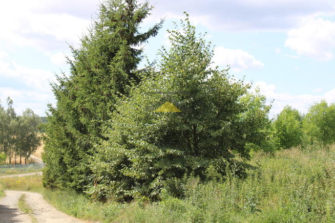 Działka 35 arów, wydane WZ, Racław