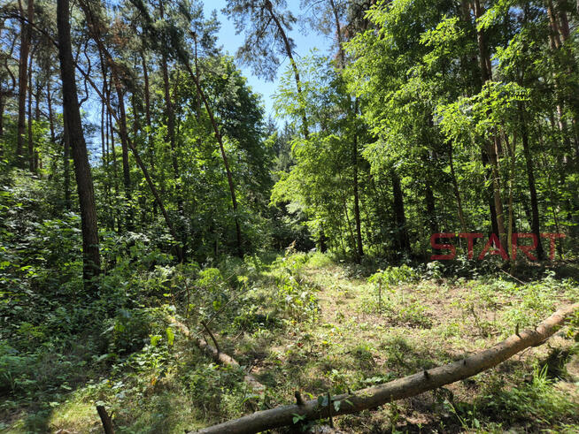 Działka rekreacyjna Grzymek gm. Żabia Wola,