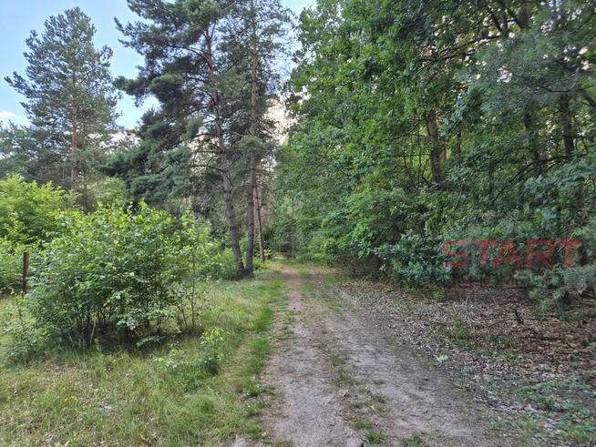 Działka budowlana Marynin gm. Grodzisk Mazowiecki,