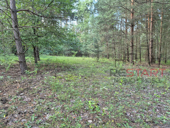 Działka budowlana Marynin gm. Grodzisk Mazowiecki,