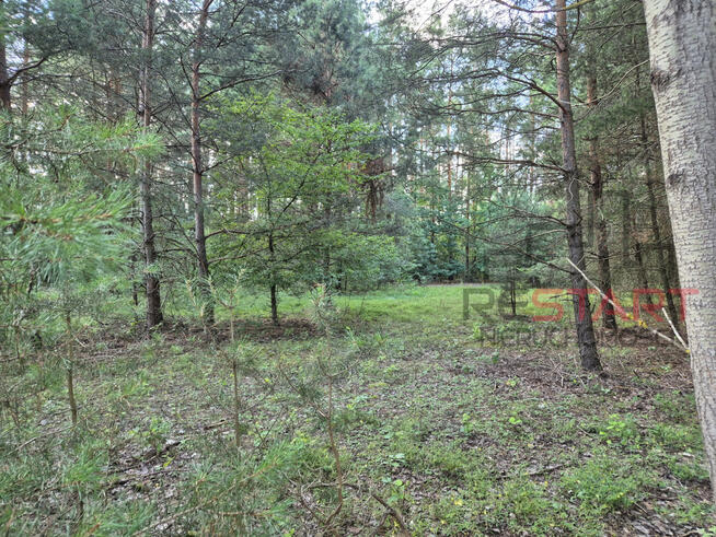 Działka budowlana Marynin gm. Grodzisk Mazowiecki,