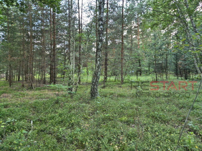 Działka budowlana Marynin gm. Grodzisk Mazowiecki,
