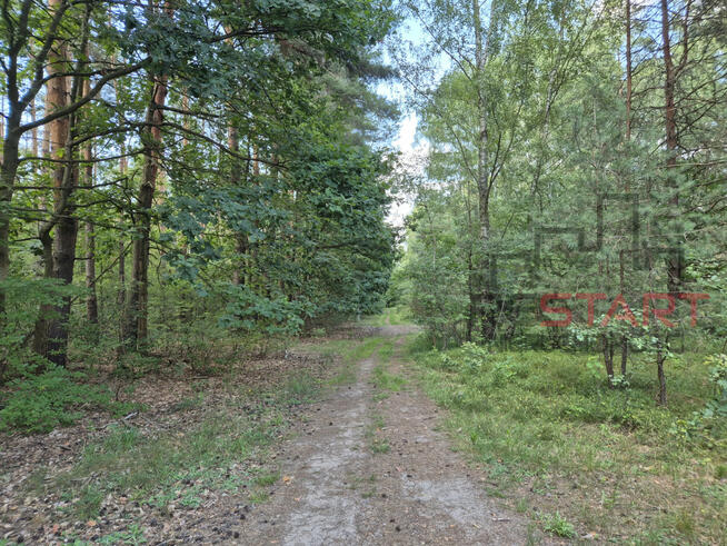Działka budowlana Marynin gm. Grodzisk Mazowiecki,