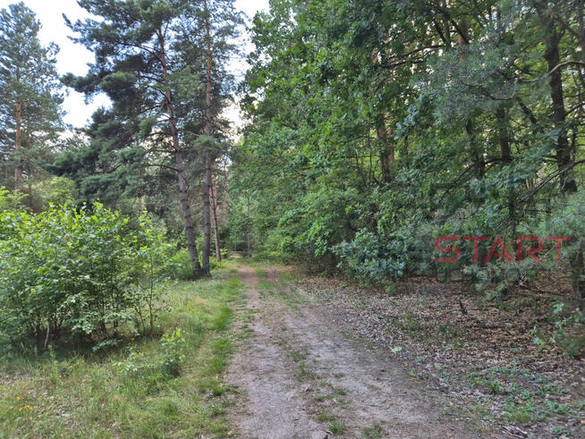 Działka budowlana Marynin gm. Grodzisk Mazowiecki,