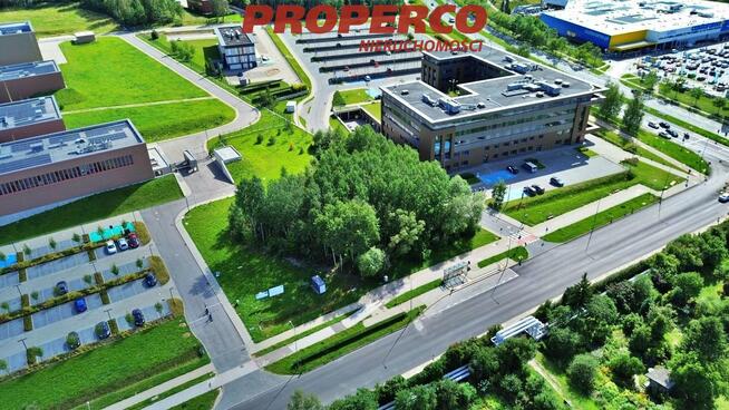 Działka Kielce Pod Telegrafem, Wrzosowa
